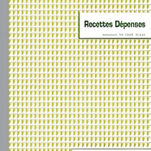 EXACOMPTA Manifold "Recettes et Dépenses", 297 x 210 mm