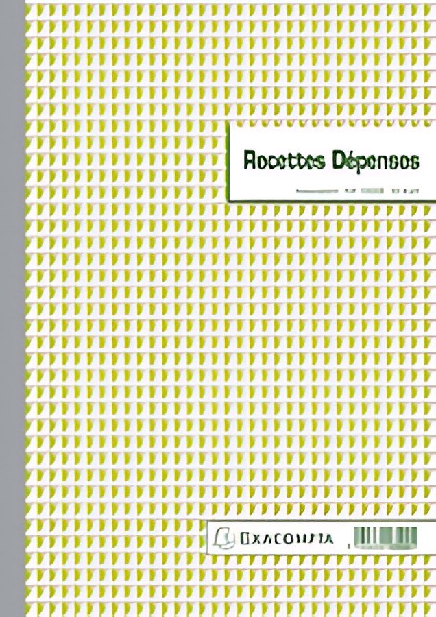EXACOMPTA Manifold "Recettes et Dépenses", 297 x 210 mm