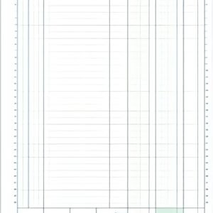 EXACOMPTA Manifold "Caisse", 297 x 210 mm, dupli