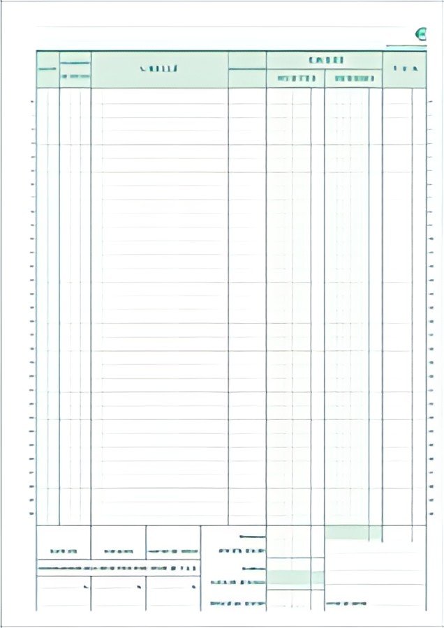 EXACOMPTA Manifold "Caisse", 297 x 210 mm, dupli