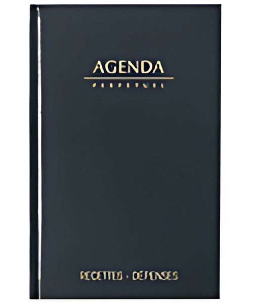 LECAS Agenda perpétuel Recettes - Dépenses