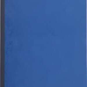 EXACOMPTA Piqûre "Journal folioté", 320 x 195 mm, 38 lignes