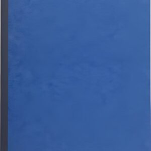 EXACOMPTA Piqûre "Echéancier", 320 x 195 mm vertical