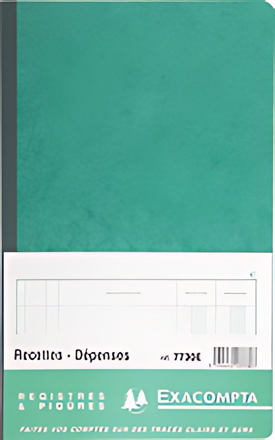 EXACOMPTA Piqûre "Recettes et dépenses", 210 x 190 mm