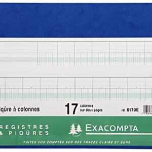 EXACOMPTA Piqûre à colonnes, 11 colonnes, 24 lignes