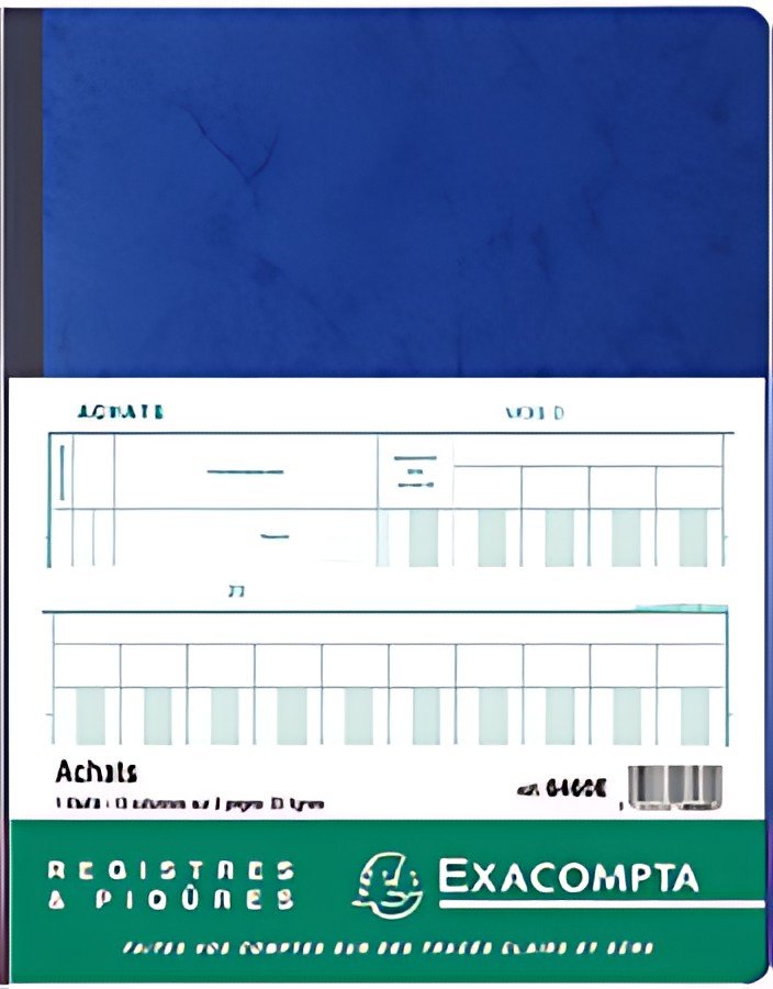 EXACOMPTA Piqûre comptable "Achats", 320 x 250 mm, 80 pages
