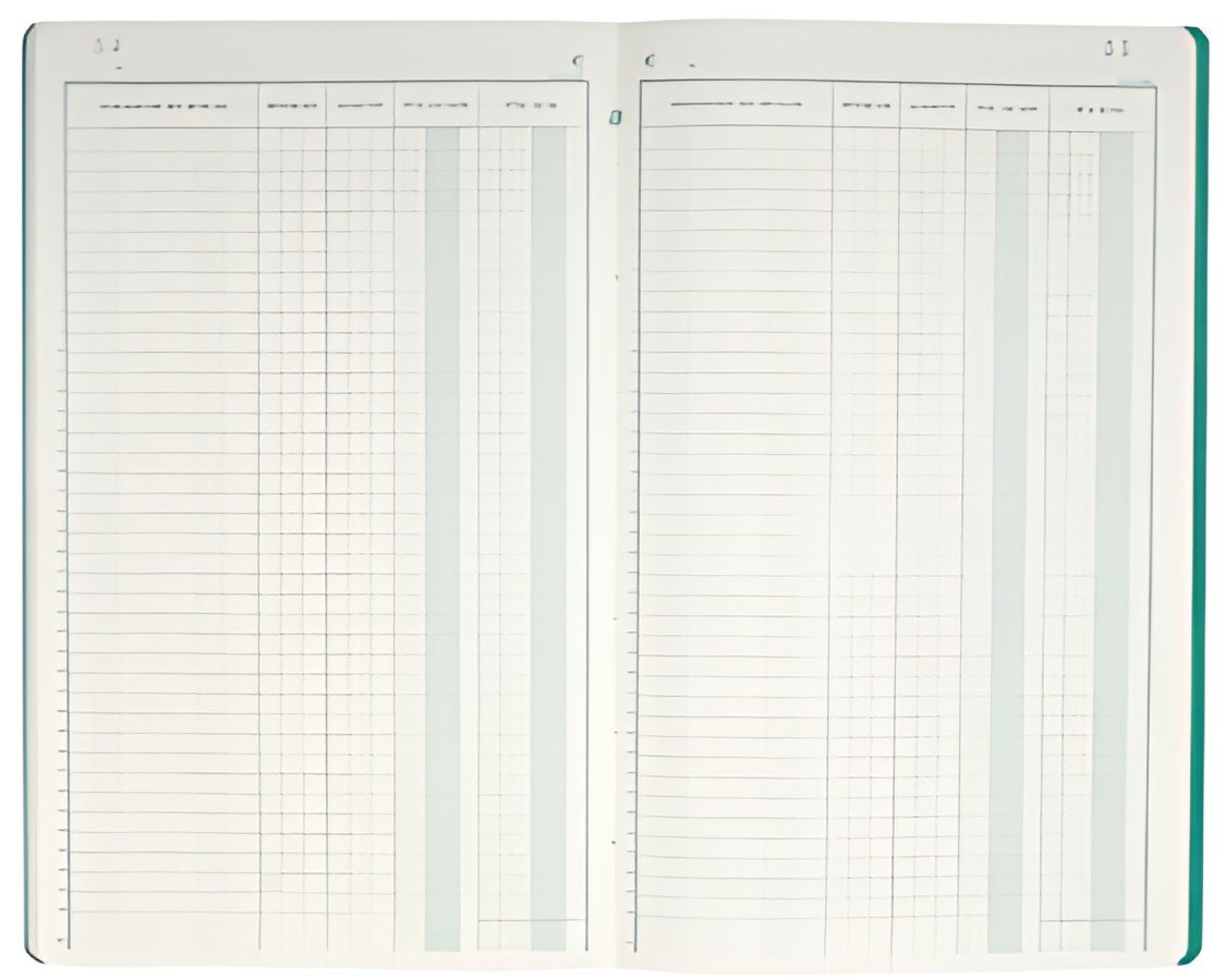 EXACOMPTA Piqûre "Livre d'inventaire", 80 pages