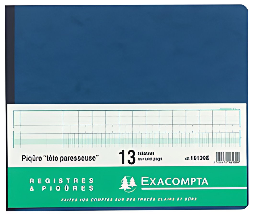 EXACOMPTA Piqûre tête paresseuse, 24 colonnes sur 2 pages