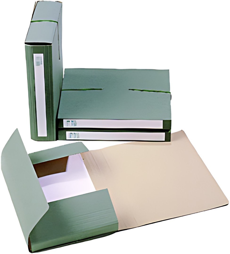 extendos Dossier d'archives 1240, pour format A4, en carton,