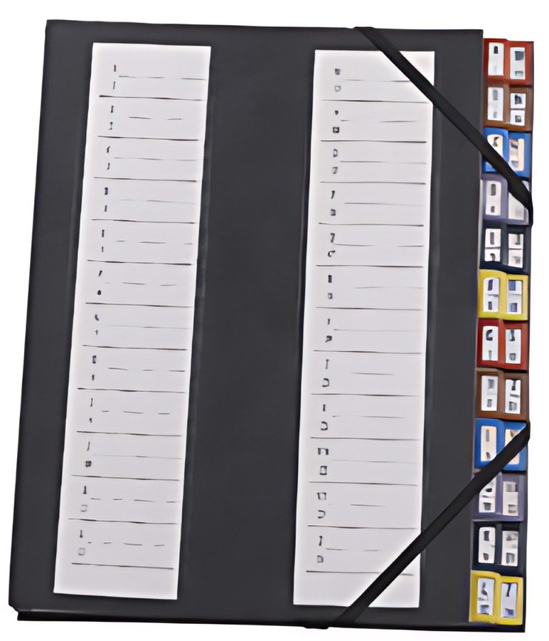 extendos Trieur 48.24, 24 compartiments, avec élastique