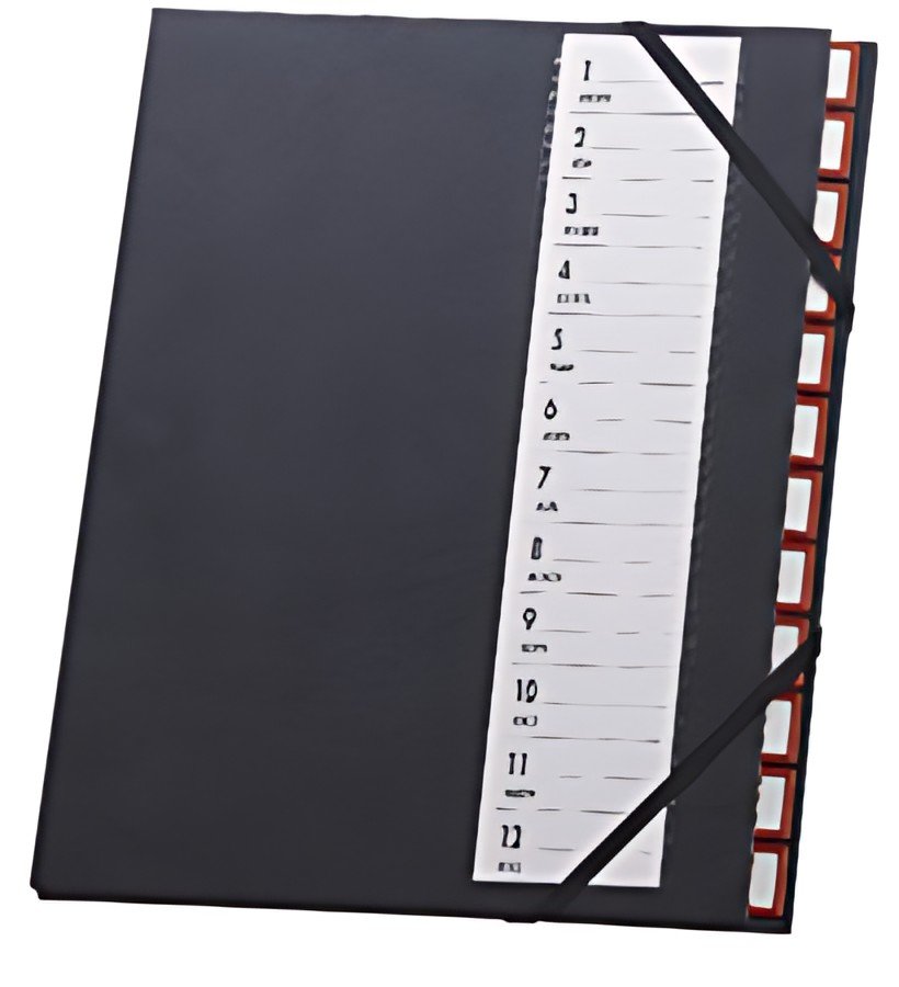 extendos Trieur 48.12, 12 compartiments, avec élastique