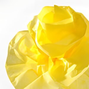 CANSON Papier de soie, 0,5 x 5,0 m, 20 g/m2, jaune citron