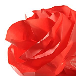 CANSON Papier de soie, 0,5 x 5,0 m, 20 g/m2, rouge vif