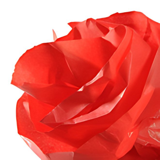 CANSON Papier de soie, 0,5 x 5,0 m, 20 g/m2, rouge vif