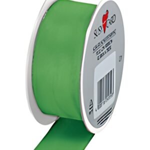 SUSY CARD Ruban cadeau, sur bobine "Trend", vert clair