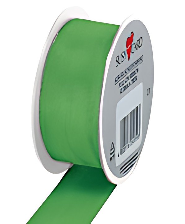 SUSY CARD Ruban cadeau, sur bobine "Trend", vert clair