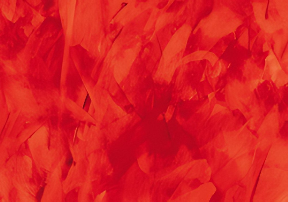 SUSY CARD Papier cadeau "Structure rouge", sur rouleau