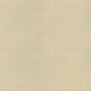 SUSY CARD Papier cadeau "Holo or", sur rouleau