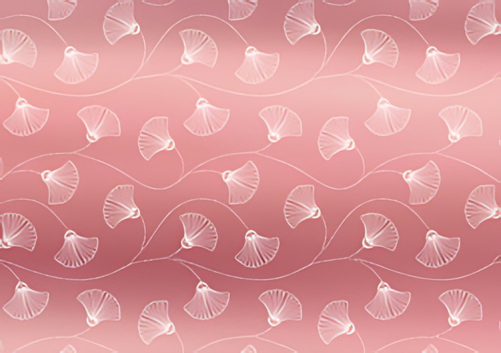 SUSY CARD Papier cadeau "Blooming rosé", sur rouleau