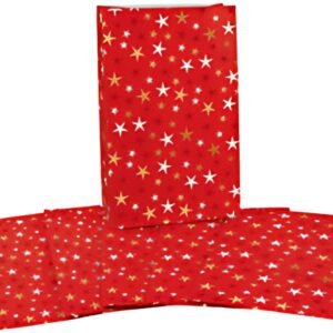 CACTUS Pochette cadeau de Noël "Étoiles", (L)100 x (H)160 mm