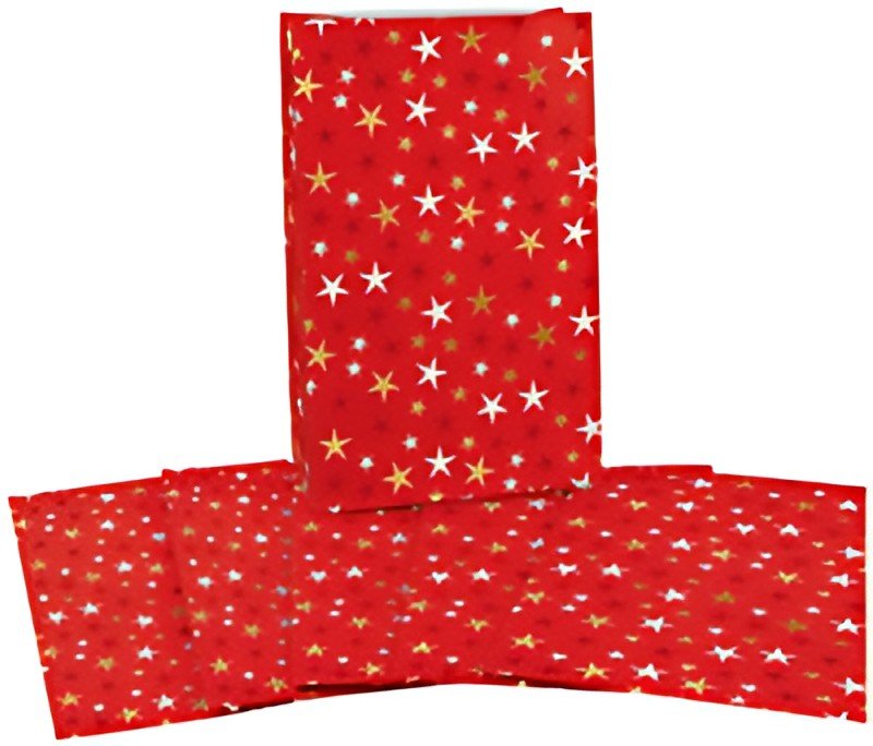 CACTUS Pochette cadeau de Noël "Étoiles", (L)100 x (H)160 mm
