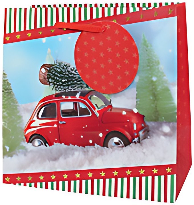 CACTUS Sac cadeau de Noël "Petite voiture", petit