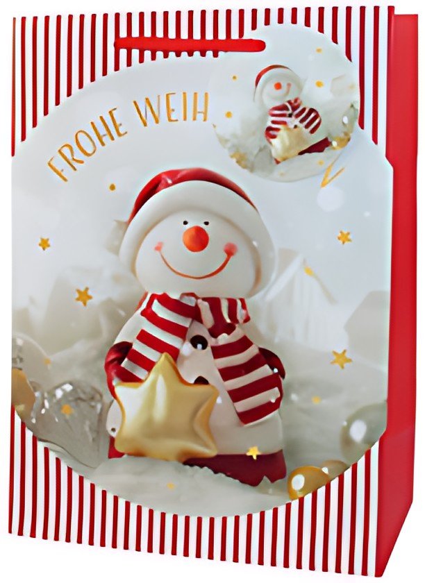 Sac cadeau de Noël CACTUS "Bonhomme de neige", moyen