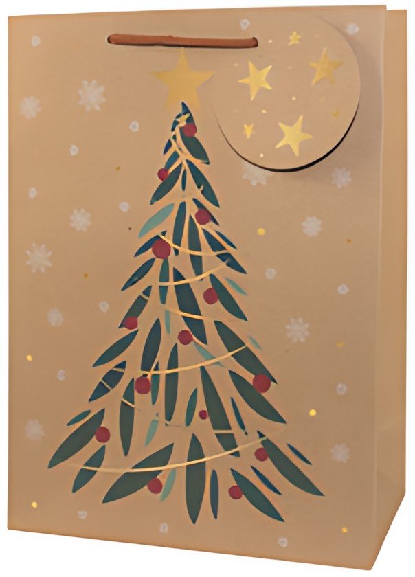 CACTUS Sac cadeau de Noël "Sapin", moyen