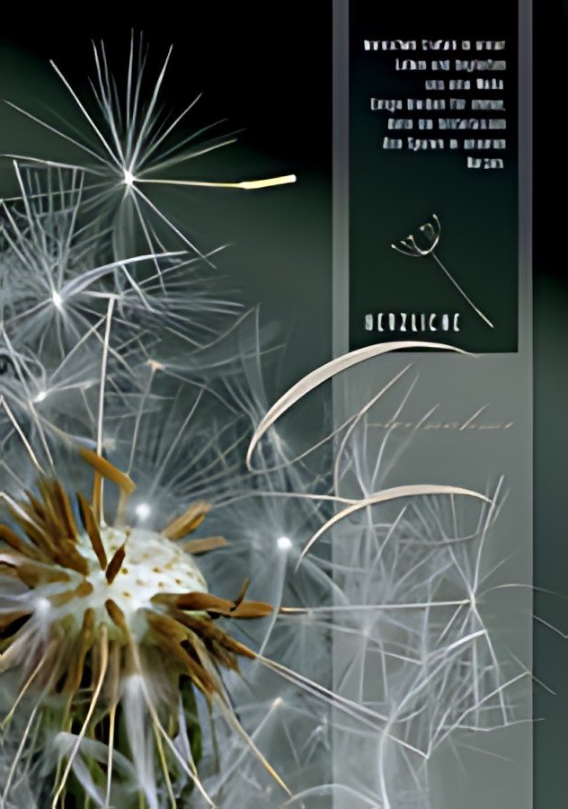 Carte de deuil CACTUS « Traces de pissenlit »