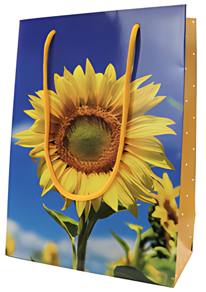 SUSY CARD Sac cadeau "Sunflower Smile"