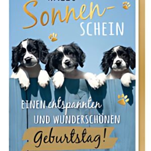 SUSY CARD Carte d'anniversaire Humour « Chiens de race mixte »