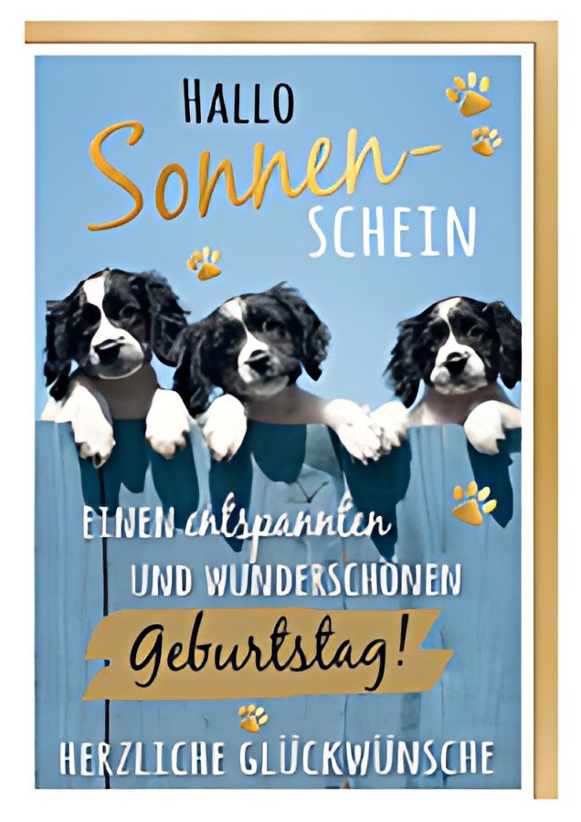 SUSY CARD Carte d'anniversaire Humour « Chiens de race mixte »