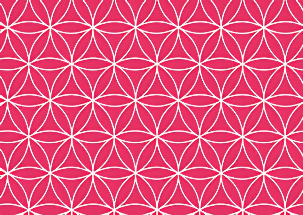 SUSY CARD Papier cadeau "Fleurs de vie rouges", sur rouleau
