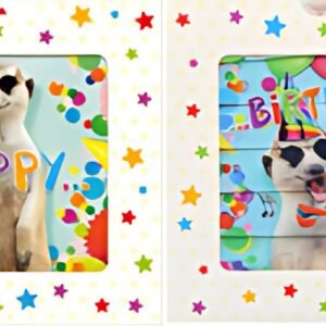 SUSY CARD Carte d'anniversaire 3D coulissante "Suricate"