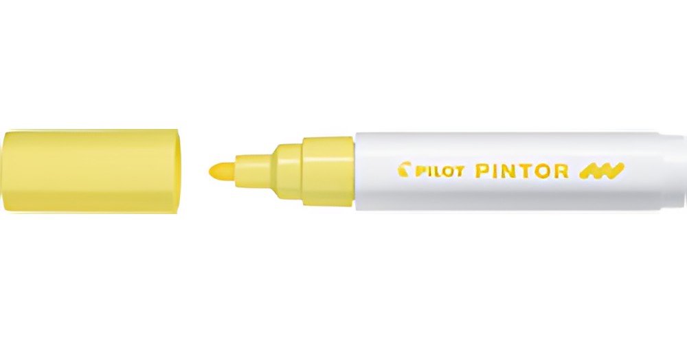 PILOT Marqueur à pigment PINTOR, medium, blanc