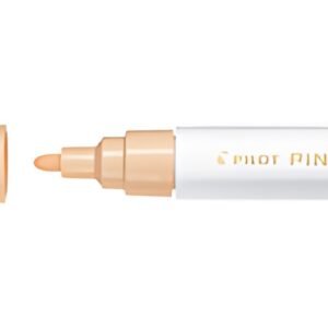 PILOT Marqueur à pigment PINTOR, medium, orange pastel
