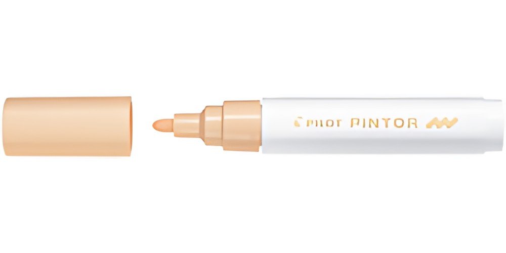 PILOT Marqueur à pigment PINTOR, medium, orange pastel