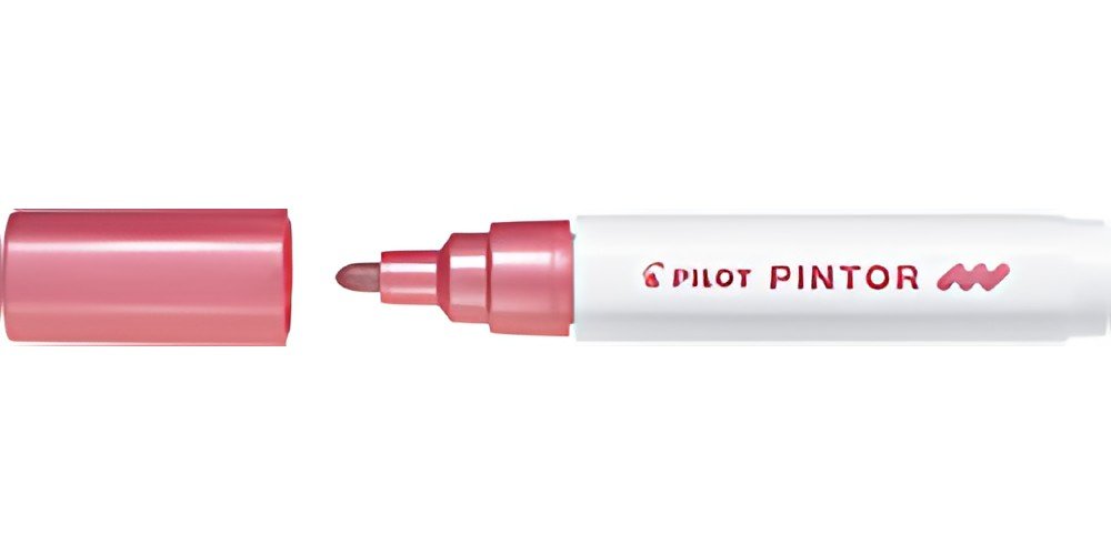 PILOT Marqueur à pigment PINTOR, medium, rose pastel