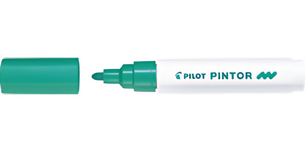 PILOT Marqueur à pigment PINTOR, medium, vert