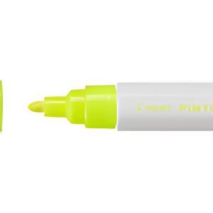 PILOT Marqueur à pigment PINTOR, medium, abricot fluo