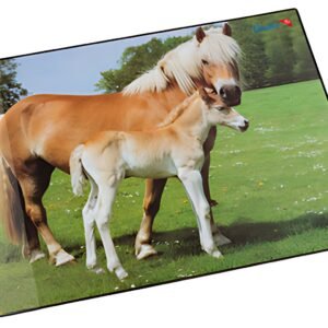 Läufer Sous-main cheval et poulain, 400 x 530 mm