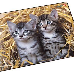 Läufer Sous-main "chats dans les pailles", 400 x 530 mm