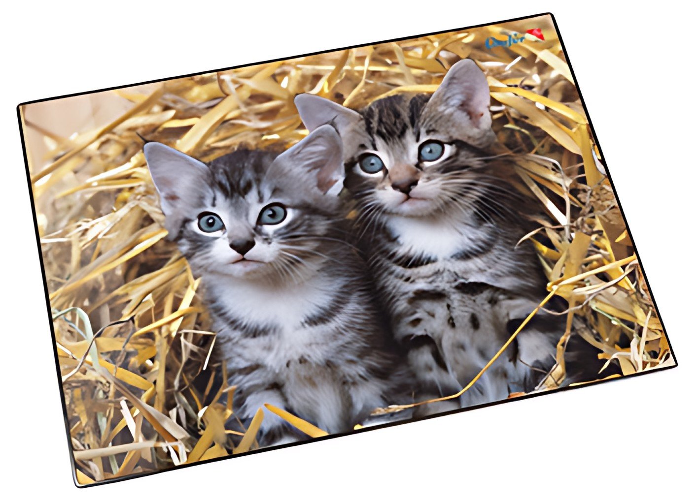 Läufer Sous-main "chats dans les pailles", 400 x 530 mm