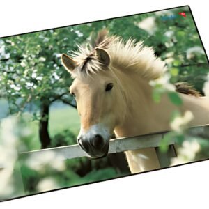 Läufer Sous-main cheval à la clôture, 400 x 530 mm