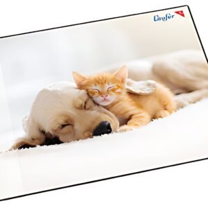 Läufer Sous-main Chien et chat, 400 x 530 mm