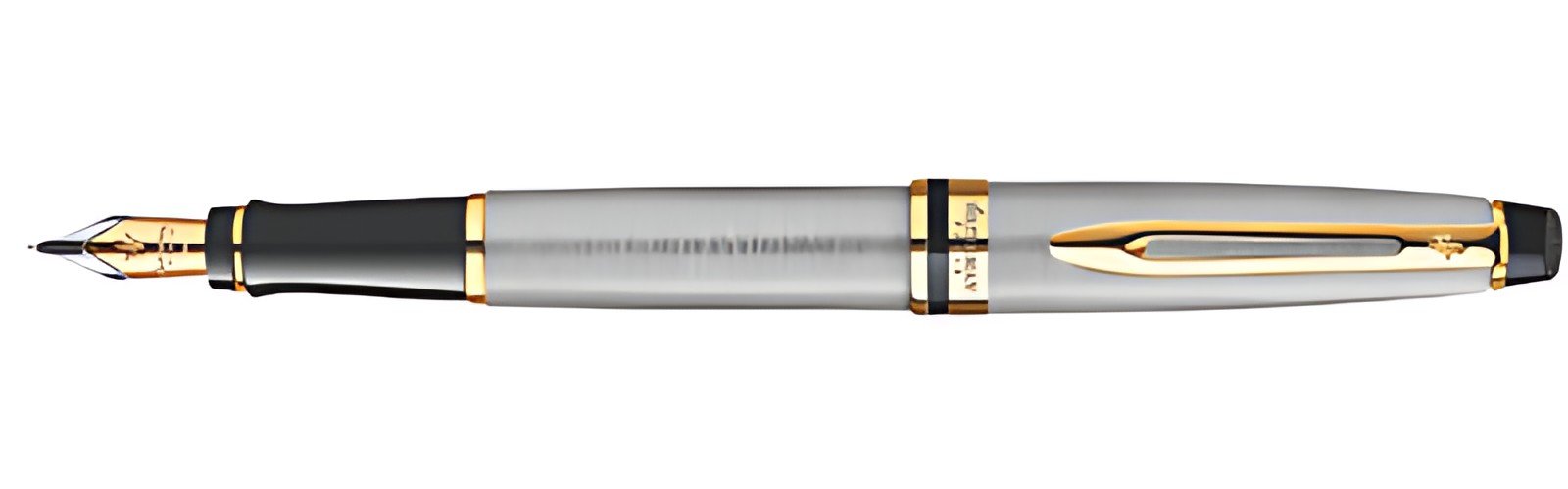 WATERMAN Stylo plume Expert, Metallic G.T.