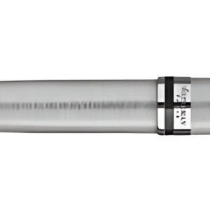 WATERMAN Stylo plume Expert, Metallic C.T.