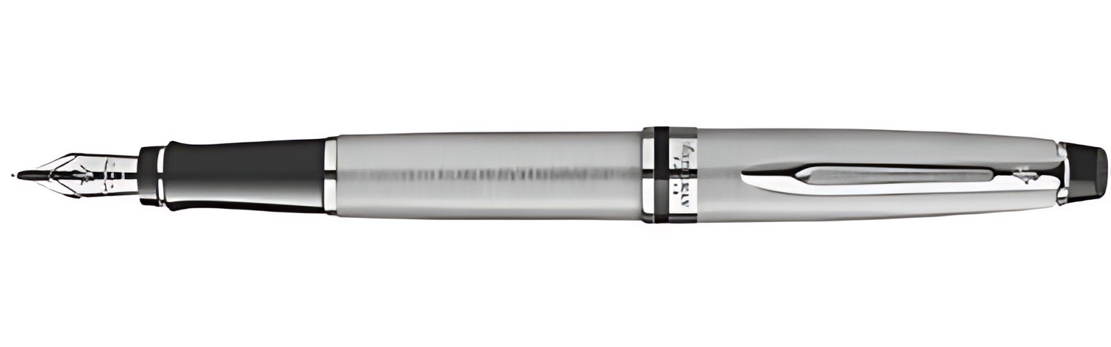 WATERMAN Stylo plume Expert, Metallic C.T.