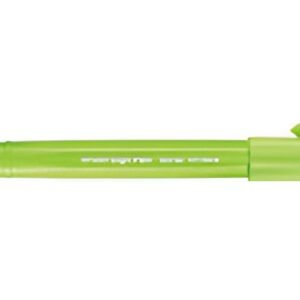 PentelArts Stylo feutre Brush Sign Pen SES 15, vert pastel