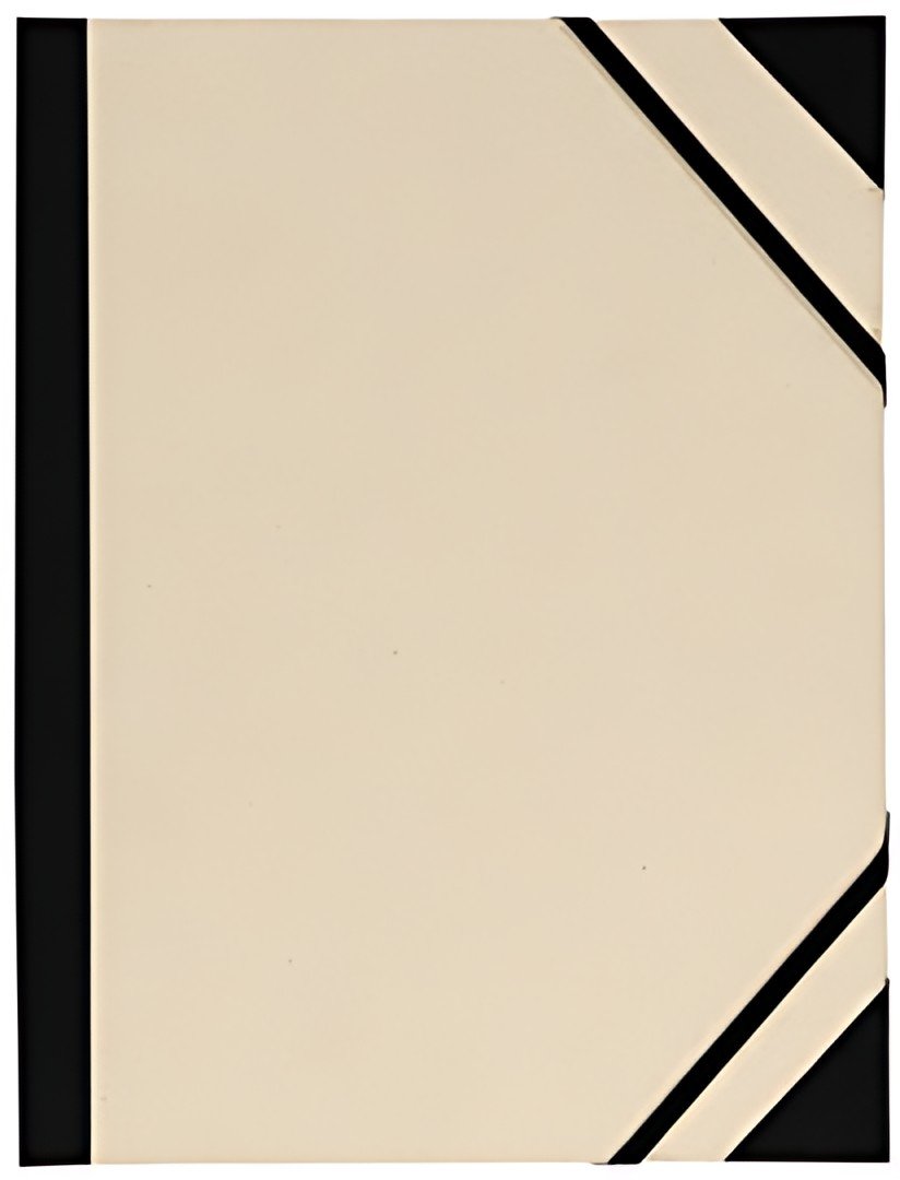 CANSON Carton à dessin "Brut customisable", 610 x 810 mm